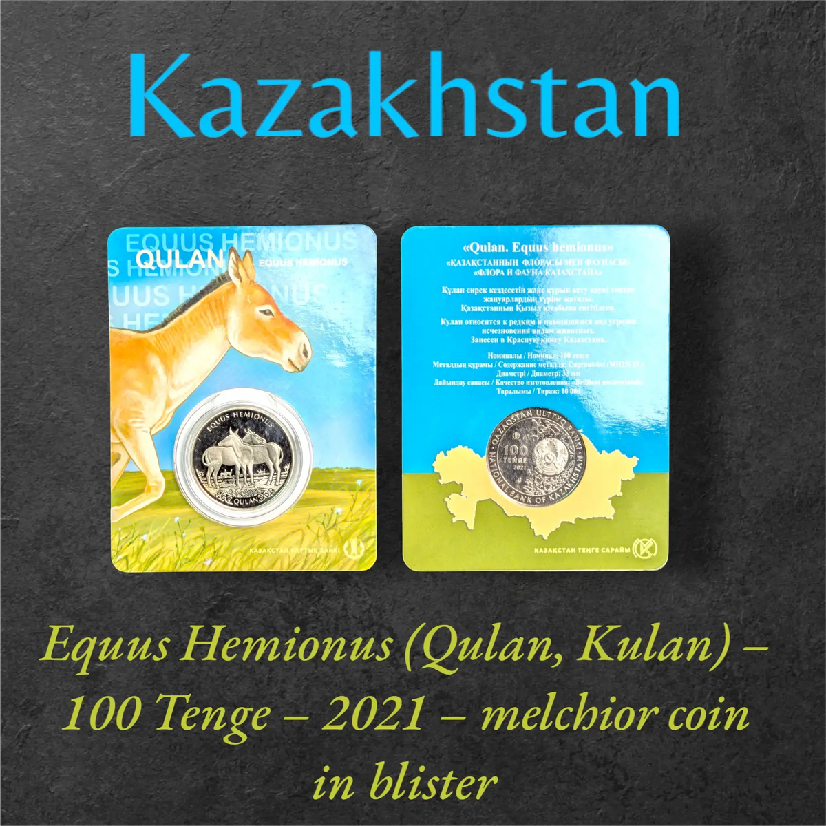 Equus hemionus kulan 100 tenge 2021 Kazakhstan melchior coin in blister
