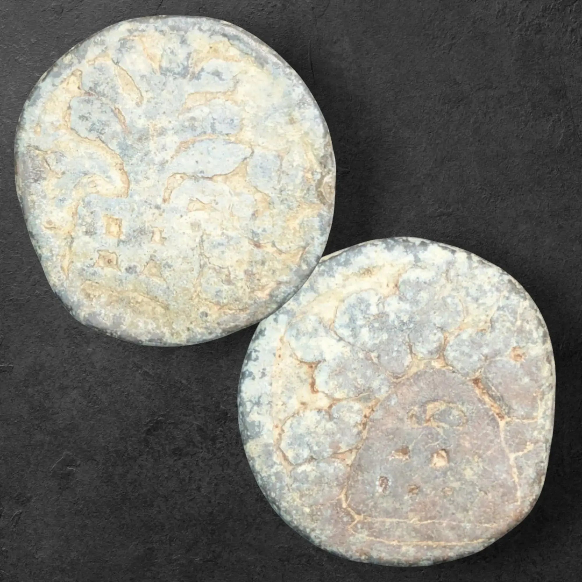 Ancient India Chutus of Banavasi – King Mulananda Double Karshapana Type (c. 78–175 CE) Numismatic Collectible