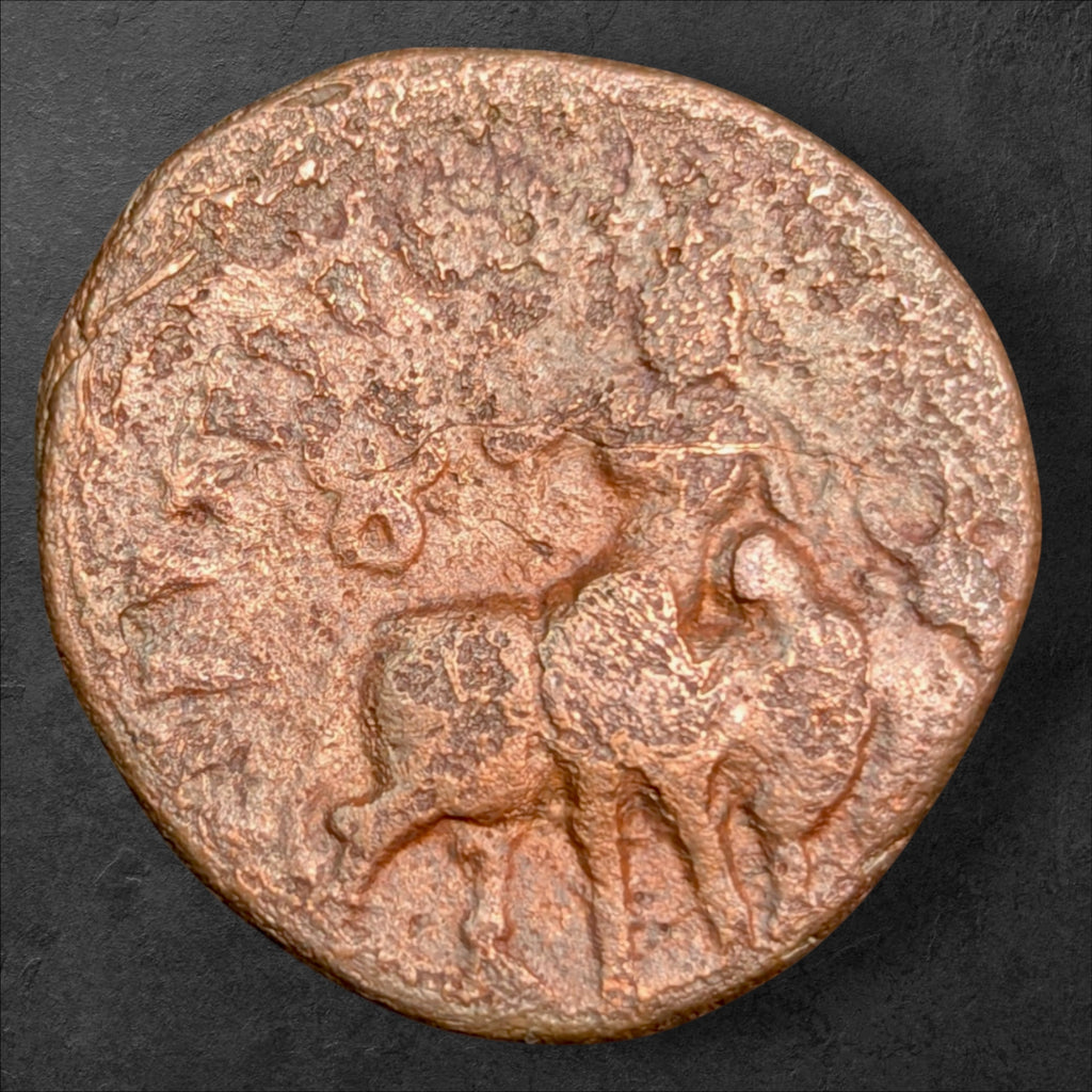Ancient Kushan Empire Vima Kadphises Copper Tetradrachm – Shiva & Nandi – 16.75g – c. 105–130 CE