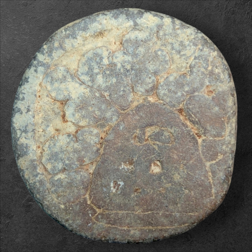 Ancient India – Chutus of Banavasi
King Mulananda – Double Karshapana Type | c. 78–175 CE
