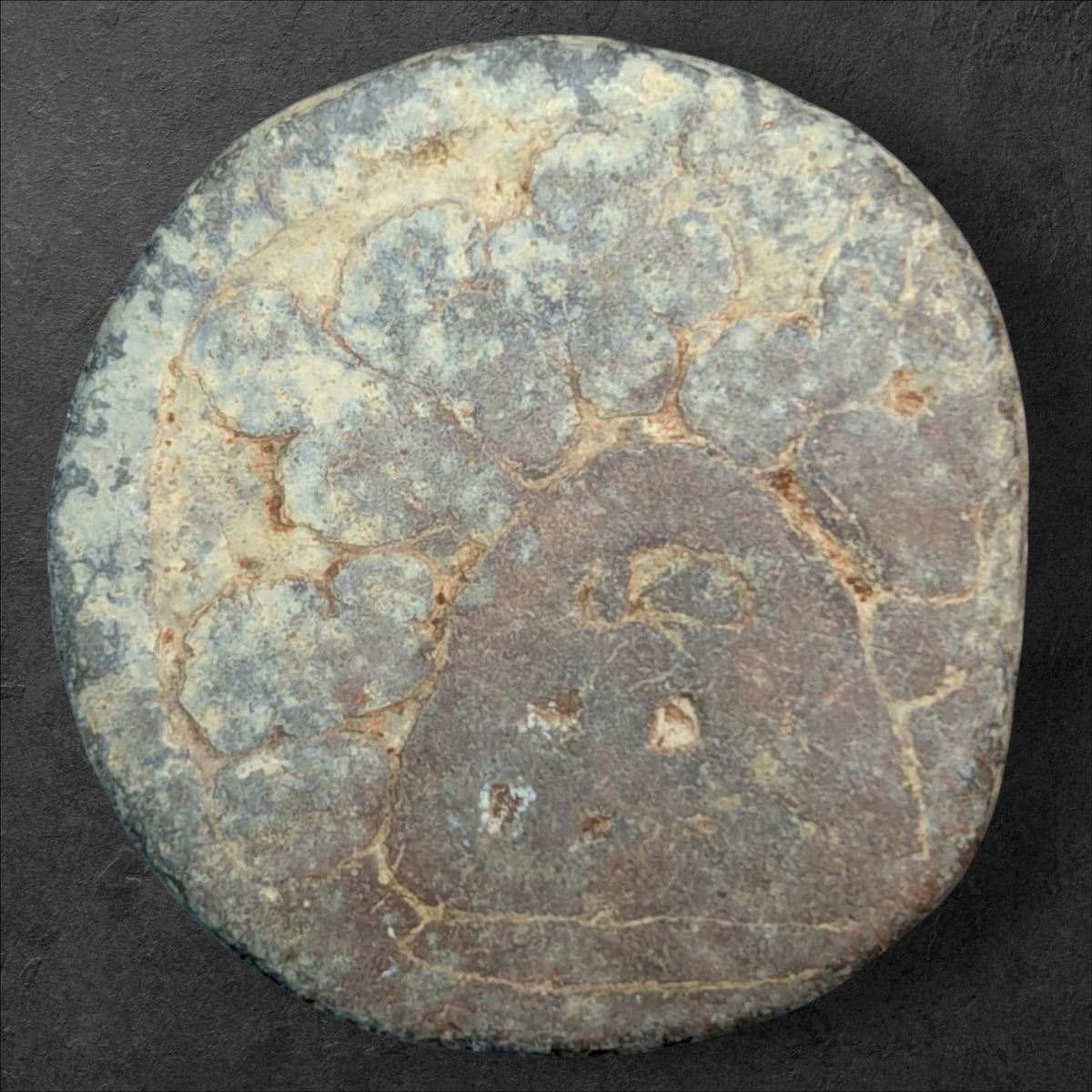 Ancient India – Chutus of Banavasi
King Mulananda – Double Karshapana Type | c. 78–175 CE