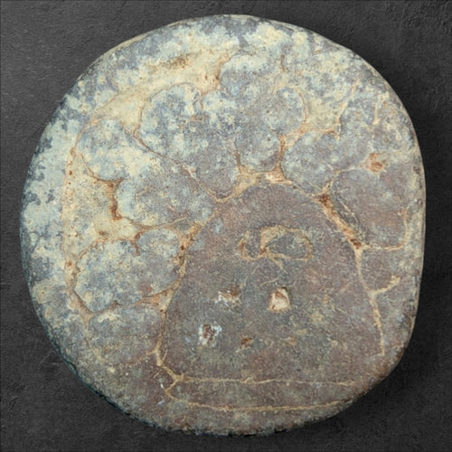 Ancient India – Chutus of Banavasi
King Mulananda – Double Karshapana Type | c. 78–175 CE