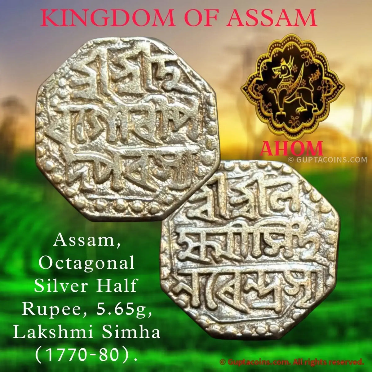 Assam Kingdom (Ahom) – Lakshmi Simha Octagonal Issue (c. 1770–1780) Numismatic Collectible